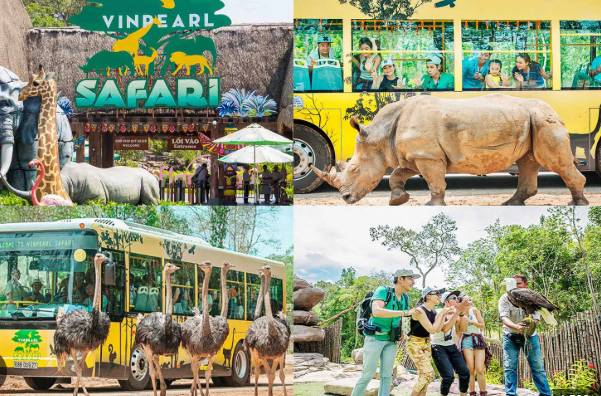 Vinpearl Safari Phu Quoc Combo Tickets – Safari & VinWonders Experience